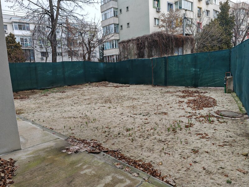 Baneasa, Belizarie, oferta casa vila inchiriere